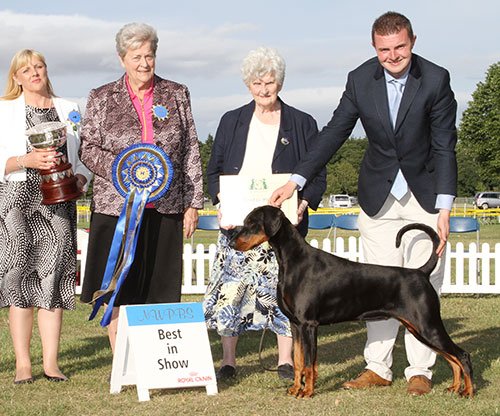 Mrs J & Miss V Ingram Ch & Ir Ch Jojavik Poison Ivy JW Sh.CM CW16 with BIS judge Mrs C E Cartledge, Mrs A Arch (Secretary) & Mrs S Freind-Rees 