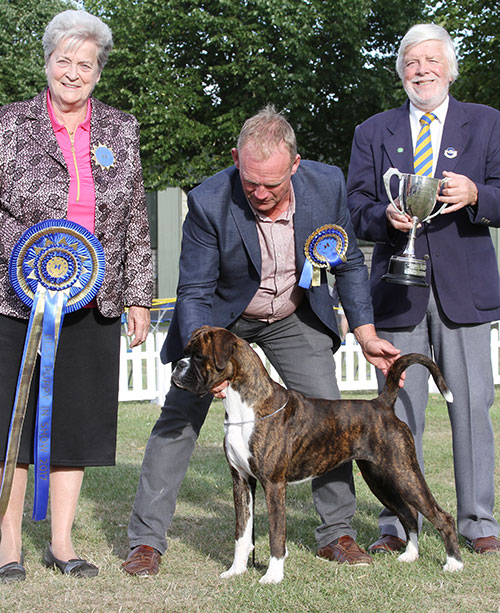 Mr M Grffiths Lanfrese Limelight with BIPS judge Mrs C E Cartledge & Mr M Taylor (Chairman)
