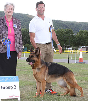 Mrs S M & Mr J A Belfield Ch Kassieger Antonia with group judge Mrs C E Cartledge
