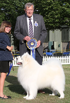 Mrs J Fulierova Ch & Svk Gr Ch Smiliesam Strike Home with veteran group judge Mr J Peach