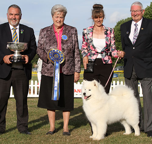 Mr C Webb & Miss R Bates Rosskaja Ice Dancer with BIS judge Mrs C E Cartledge & Mr M Wakeland (Show Manager) 