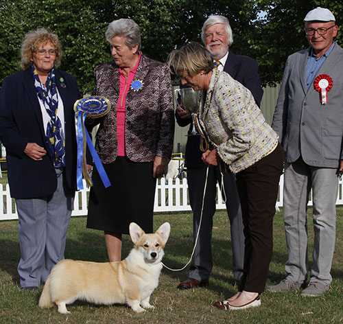Mrs & Miss C & N Blance Penliath Sister Act with BPIS judge Mrs C E Cartledge, Mr M Taylor (Chairman) & Mrs M Scrutton (Treasurer) 