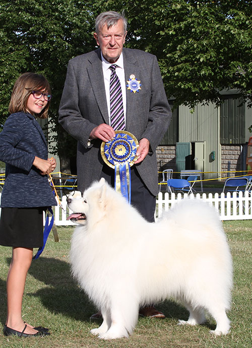 Mrs J Fulierova Ch & Svk Gr Ch Smiliesam Strike Home with BVIS group judge Mr J Peach