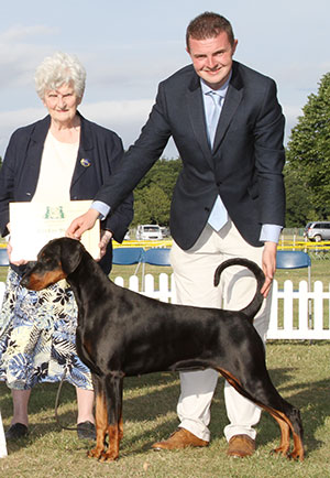 Mrs J & Miss V Ingram Ch & Ir Ch Jojavik Poison Ivy JW Sh.CM CW16 with Mrs A Arch (Secretary) 