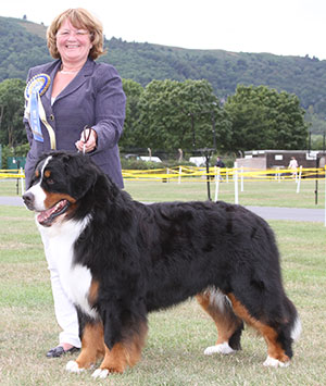 Mrs C Hartley-Mair & Mr G Dybdall Ch Meadowpark High Class