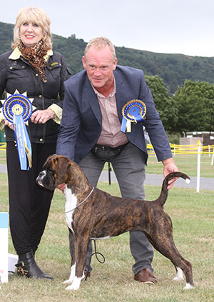 Mr M Grffiths Lanfrese Limelight with puppy group judge Mrs H Davenport-Willis 