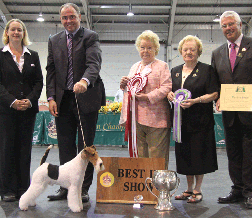 Mr V Malzoni Ch Travella Striking Steel with BIS judge Mrs B Banbury, Mrs A Hodsoll (Secretary), Mr D Creech (Chairman) & S Langdon (Royal Canin) 