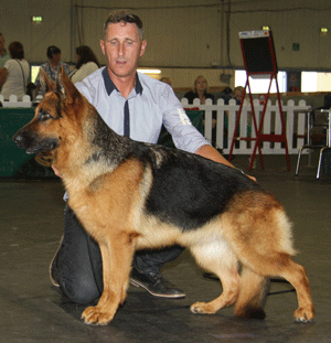 Mr & Mrs J & P Cullen Ch Veneze Immy