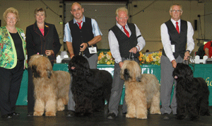 Foster - Briard with breeder group judge Mrs B Banbury