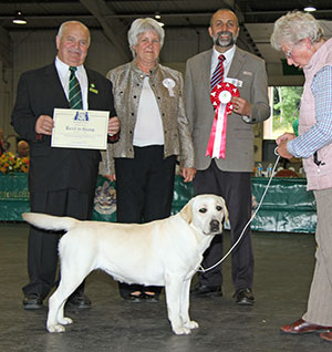 Mrs D Hopkinson Rocheby Sensational with group judge Mrs P Butler-Holley, Mr B Limpus (Show Manager) & Mr A Bongiovanni (Royal Canin)