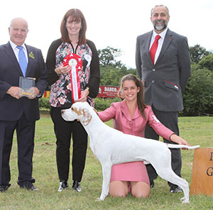 Mrs & Miss A Siddle, Mr B Crocker & M Gardner Wilchrimane Up To Tricks with puppy group judge Mrs D Stewart-Ritchie & Mr B Limpus (Show Manager) 