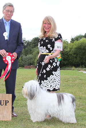 Ms S Heavens Am Ch Applewood's Mojo Flow (Imp) with group judge Mr J Carter