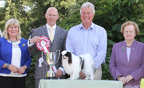 Mr A Allcock MBE Ch Sleepyhollow Robson JW Sh.CM with BIS judge Mr G Robertson, Mrs A Hodsoll (Secretary) & Mrs S St. Maur Thorp (Asst Secretary)