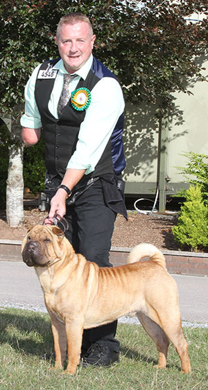 Mr & Mrs A D & H K Morris Ch Ashowai Ready To Rock JW Sh.CM