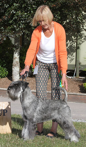 Mrs M & M Moore Ch Odivane Wizz Kid