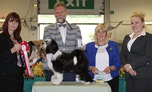 Mrs P Tempest & Mrs S Carr & Mr G Davies Waterley Salishan Sunshine Over Alilah with puppy group judge Mrs S Stewart-Ritchie & Mrs S St.Maur Thorp 