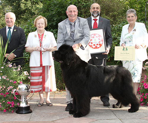 Mrs L Chapman & Mr T Chapman Ch Merrybear D' Artagnan with BIS judge Mrs J Miller, Mrs A Hodsoll (Secretary) & Mr B Limpus (Vice Chairman) 