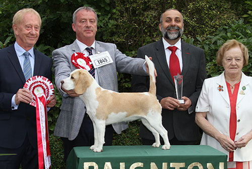 Mr D R Craig Davricard Honeybee with BPIS judge Mr T Johnston, Mrs A Hodsoll (Secretary) & Mr A Bongiovanni (Royal Canin) 