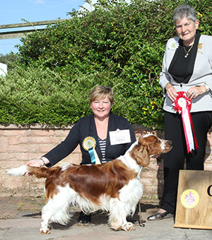 Mrs A J Graham Taimere's Twister Round Nyliram JW Sh.CM with group judge Mrs J Miller
