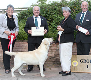 Ms S Lambert Ch Mattand Exodus JW with group judge Mrs J Miller, Mr B Limpus (Vice Chairman) & Mr P Galvin (Royal Canin)