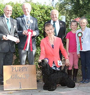 Miss A Smith Born To Run To Afterglow with puppy group judge Mr T Johnston, Mr B Limpus (Vice Chairman) & Mr P Galvin (Royal Canin) 