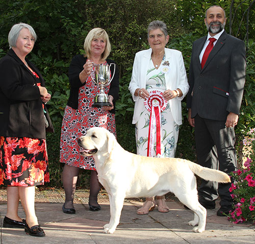 Ms S Lambert Ch Mattand Exodus JW with BIS judge Mrs J Miller, Mrs S St Maur Thorp (Asst Secretary) & Mr A Bongiovanni (Royal Canin)