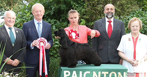 Miss A Smith Born To Run To Afterglow with BPIS judge Mr T Johnston, Mrs A Hodsoll (Secretary) & Mr B Limpus (Vice Chairman)