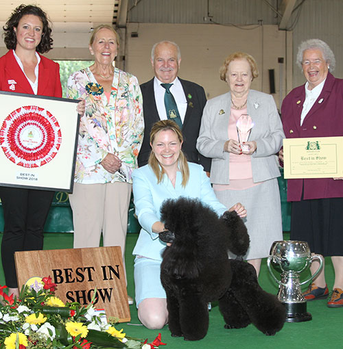 Miss M Harwood Ch Minarets Best Kept Secret with BIS judge Mrs M Purnell-Carpenter, Mrs A Hodsoll (Secretary), Mr B Limpus (Chairman) & Mrs M Dixon  