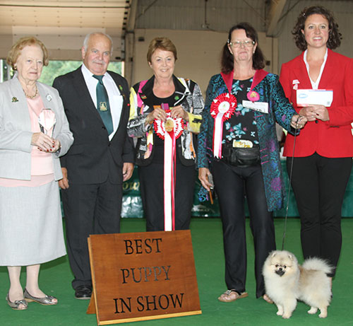 Mrs C Holman Its All Hocus Pocus At Altina with BPIS judge Mrs J Peak, Mrs A Hodsoll (Secretary), Mr B Limpus (Chairman) & Mrs M Dixon (Committee)