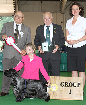 Miss S Amos-Jones Sh Ch Veratey Vincenzo At Cassom JW with group judge Mr C Woodward, Mr B Limpus (Chairman) & E Moorhouse (Royal Canin)