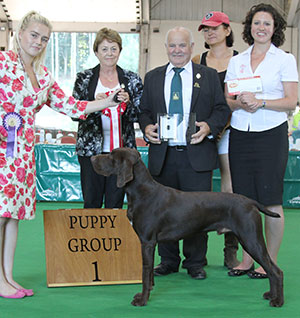 Miss J Braine Grenetrest Canterbury Bell with puppy group judge Mrs J Peak, Mr B Limpus (Chairman) & E Moorhouse (Royal Canin) 