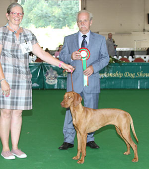 Mrs S J & Mr H J Clark Ertekes Winter Angel with spbeg judge Mr S Hall 
