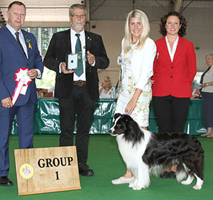 Miss H L Fawcett Sh Ch Laceway Photo Finish with group judge Mr K Young, Mr K Burdett-Coutts (Committee) & E Moorhouse (Royal Canin)