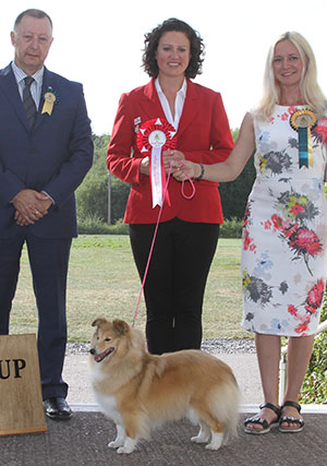 Mrs S Robinson Lavika Good Luck JW with group judge Mr K Young & E Moorhouse (Royal Canin) 