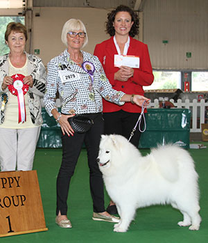 Mr & Mrs N & J D Collinson Nikara Secret Love By Norjack with puppy group judge Mrs J Peak & E Moorhouse (Royal Canin)