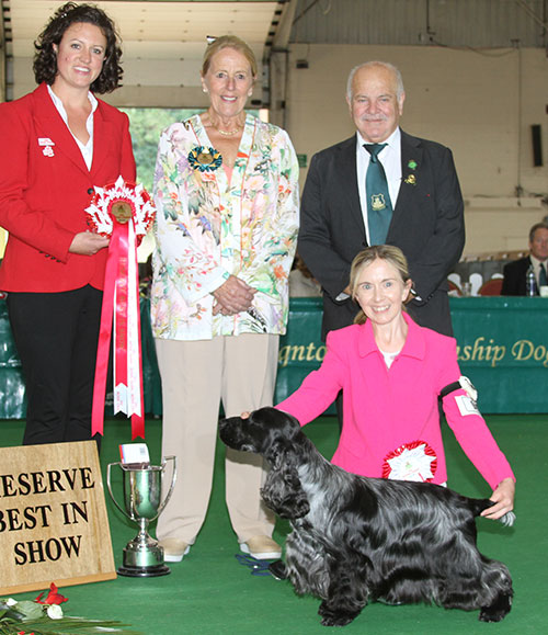 Miss S Amos-Jones Sh Ch Veratey Vincenzo At Cassom JW with BIS judge Mrs M Purnell-Carpenter, Mr B Limpus (Chairman) & E Woodhouse (Royal Canin)