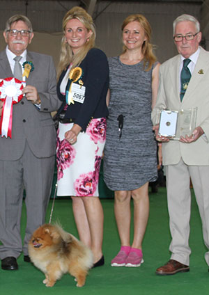 Mrs E Chilton & Mrs N Davey Sixth Sense Hankey Bannister By Klassna (Imp) with group judge Mr T M Evans & Mr W Harris (Committee) 