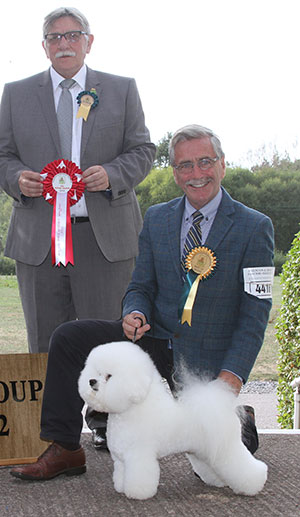 Havelin & Belstad Regina Bichon Talk Show TAF with group judge Mr T M Evans