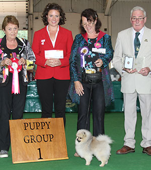 Mrs C Holman Its All Hocus Pocus At Altina with puppy group judge Mrs J Peak, Mr W Harris (Committee) & E Woodhouse (Royal Canin)