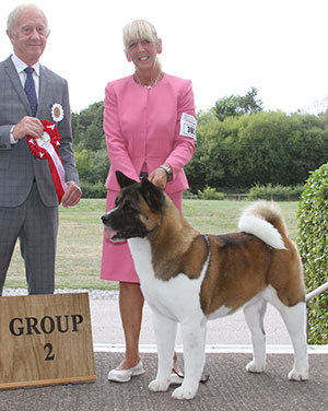 Mr M Niero It Redwitch Where There's A Will with group judge Mr T Johnston