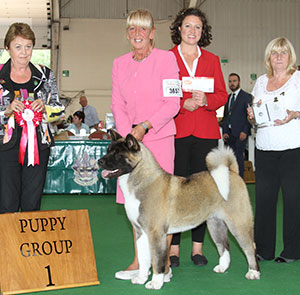 Mrs J Killilea & Mrs A Clure Redwitch In The Fast Lane with puppy group judge Mrs J Peak, Mrs S St Maur Thorp (Asst Secretary) & E Woodhouse (RC)