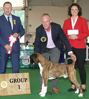 Mr M Griffiths Ch Lanfrese Ocolardo with group judge Mr K Young & E Moorhouse (Royal Canin)