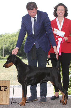 Mrs & Miss J & V Ingram Ch & Ir Ch Jojavik Poison Ivy JW Sh.CM CW16 with E Moorhouse (Royal Canin)