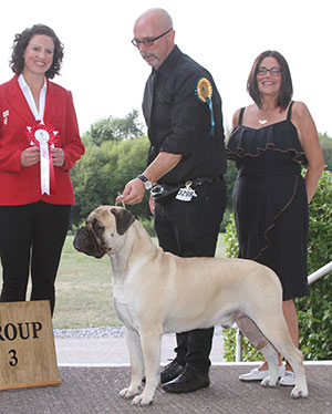 Ms J A Davies Ch Hyerdunscar On A Mission With Coulbymoor JW with E Moorhouse (Royal Canin)