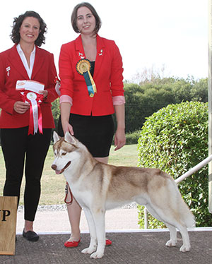 Miss J Allen Siberiadrift Keep The Love for Zimavolk JW with E Moorhouse (Royal Canin)