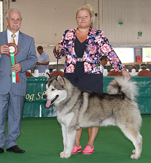 Ms A Drake & Ms L Holt Freezefactor Tis The Season At Breconfrost with spbeg judge Mr S Hall 