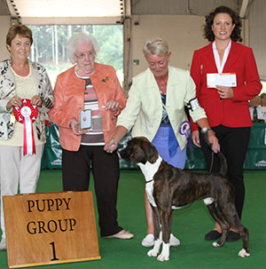 Mrs Y C Miller Walkon Masterclass with puppy group judge Mrs J Peak, Mrs E Summers (Chief Steward) & E Moorhouse (Royal Canin)