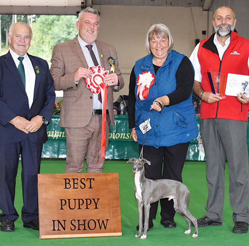 Mrs K Rutter & Miss C Bryan Chrisford Fish Finger with BPIS judge Mr L Cox, Mr B Limpus (Chairman) & Mr A Bongiovanni (Royal Canin)