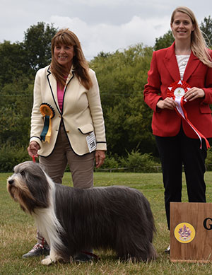 Mr & Mrs W & S M O'Brien Ch Sammara Little Black Dress with L Duffy (Royal Canin)
