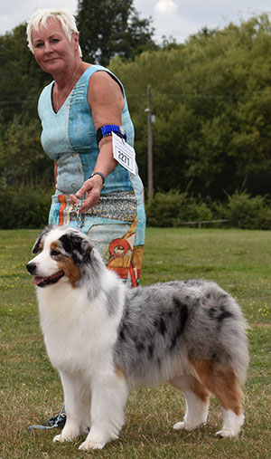 Mrs A Allan Multi Ch Allmark Vanity Fayre JW Sh.CM